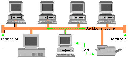 1257_Bus Topology.png